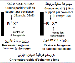Ion exchange chromatography, كروماتوغرافية التبادل الأيوني