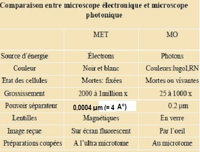 microscopes