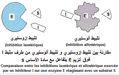 allosteric enzymes. Inhibition