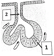 q20