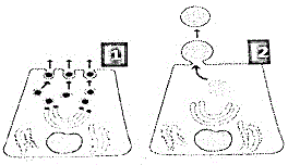 q9