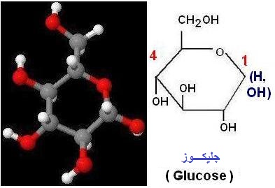 Sucres monosaccharides (oses). Glucose