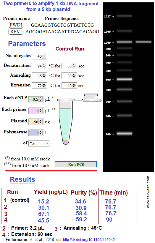 PCR Simulation