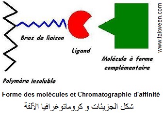 chromatographie d'affinité