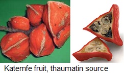 Thaumatine fruit