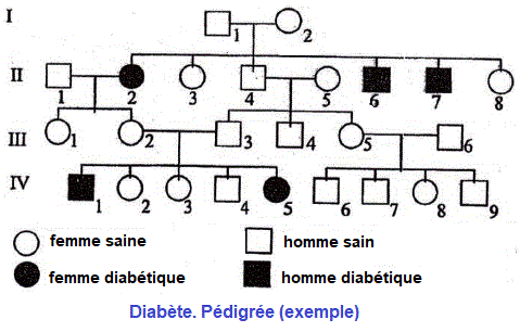génétique humaine, الوراثة البشرية